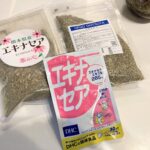 着実に風邪の悪化を防いでくれてるエキナセア、そしてショウガ！